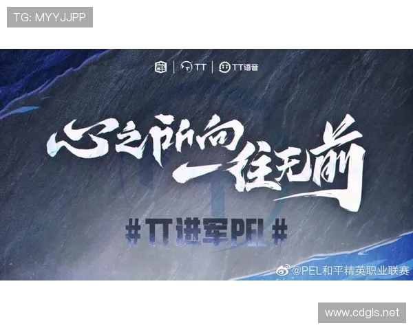 和平精英意识排行榜揭晓RNG战队荣登第四名引发热议