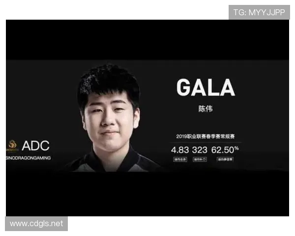 对话陈伟：回顾王者荣耀职业生涯的辉煌与挑战