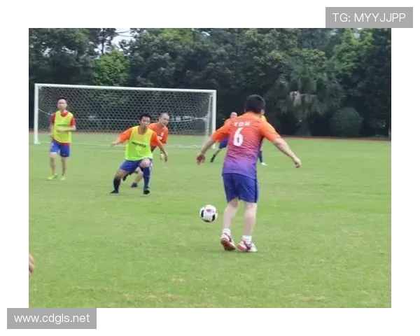 成都足球队在邀请赛中的战术表现分析与点评探讨