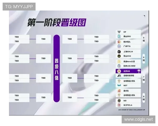 挑战者杯最新积分榜V5战队以65分稳居第一位置竞争激烈引人关注