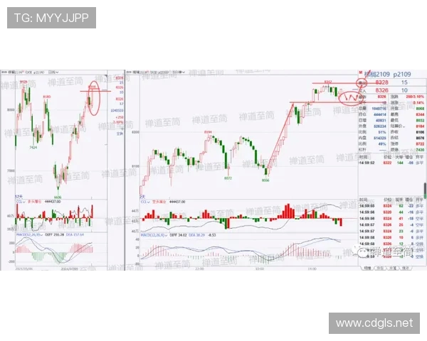杭州城市马拉松点评:滑板队战术表现与赛事策略分析 杭州城市马拉松点评:滑板队战术表现与赛事策略分析