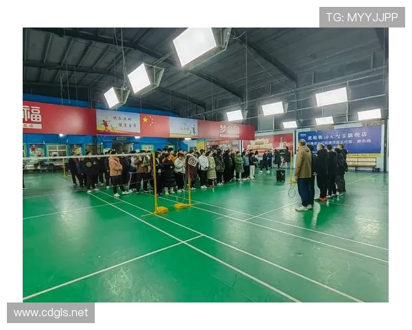 羽毛球盛宴：深入了解西安羽毛球队的默契配合与战术策略