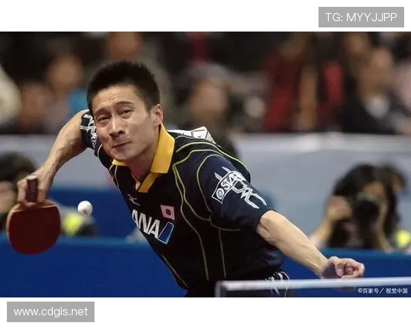 重庆乒乓球队进攻战术深度分析与实战应用探讨