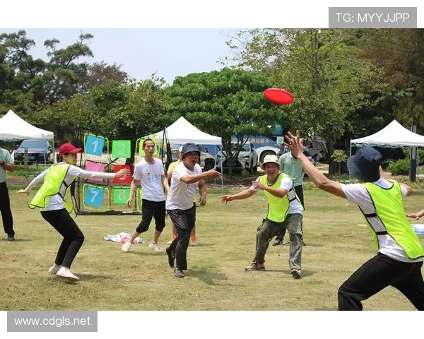 飞盘竞技新风潮：探秘深圳飞盘队的快速进攻战术与团队协作