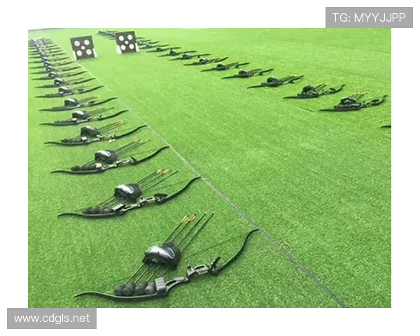 以Ruler射手为核心解析其在团队作战中的战略地位与输出潜力 以Ruler射手为核心解析其在团队作战中的战略地位与输出潜力