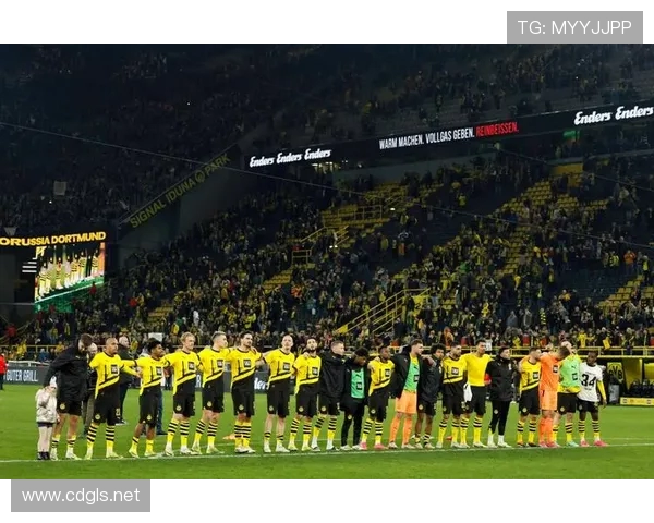 多特蒙德足球俱乐部发展历程与未来前景探讨